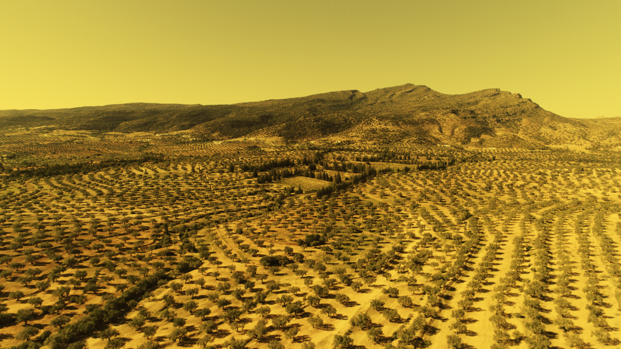 cms-img histoire19.png