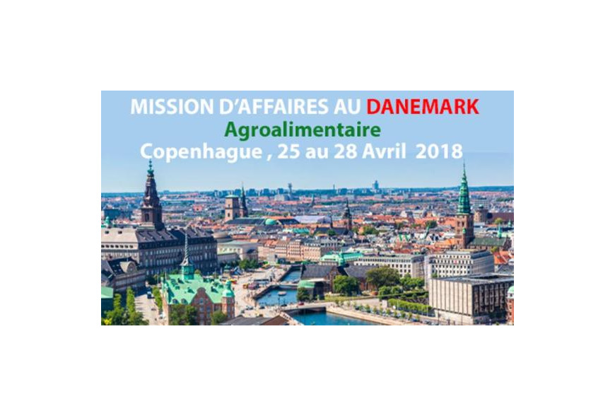 Mission d'affaire au Danemark